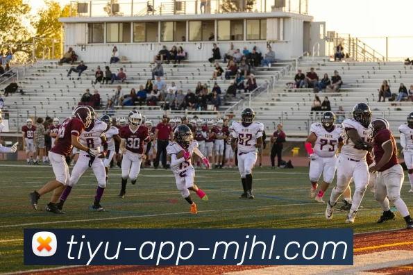 麻将胡了APP 高清赛事图